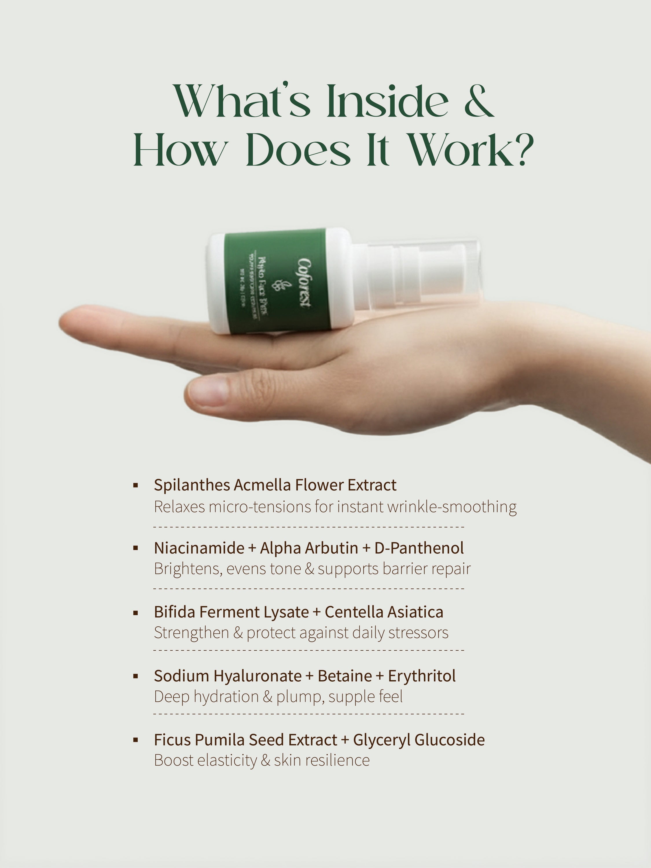 Phyto Face B’tox Face Serum