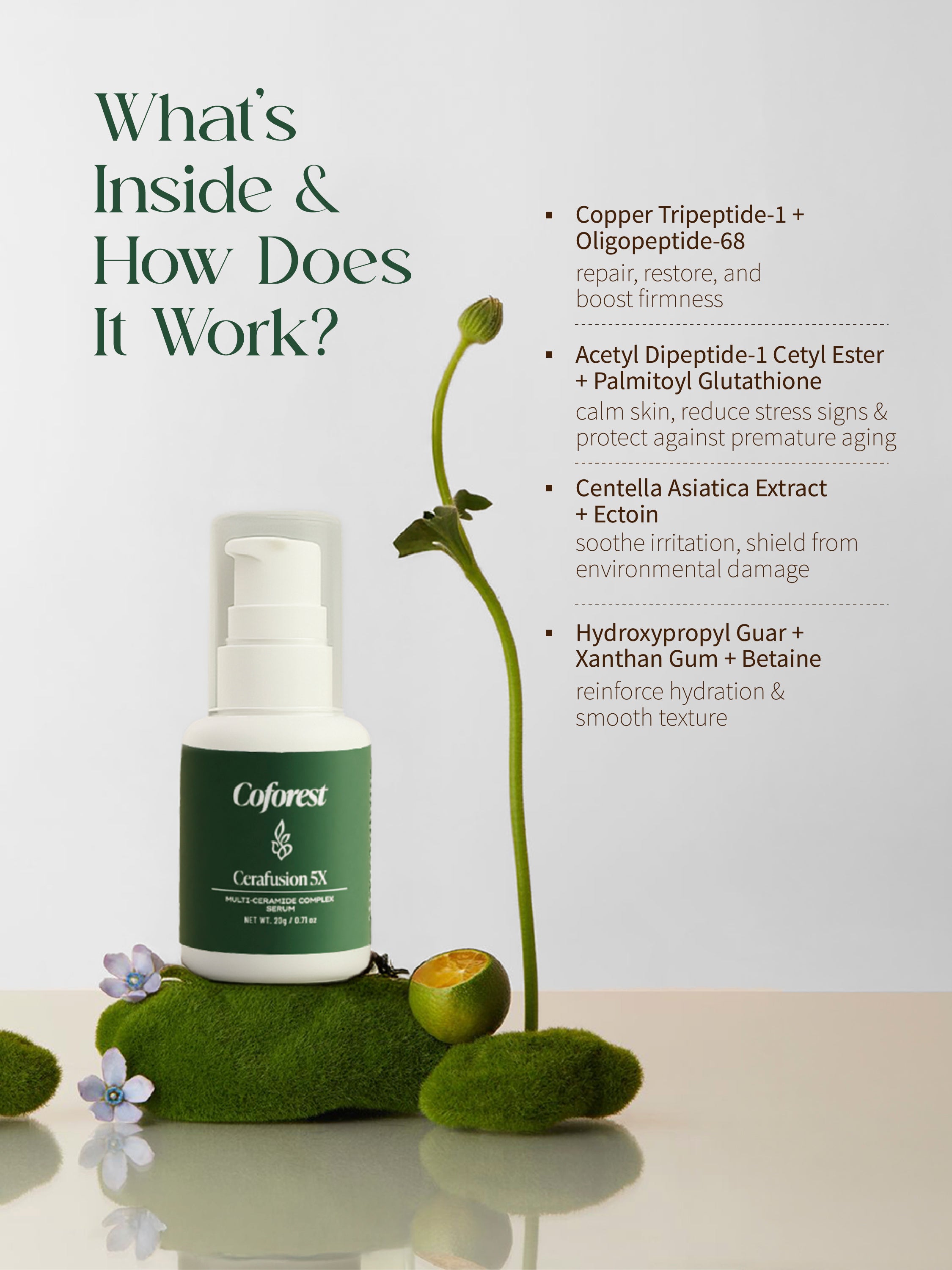 Cerafusion 5X Face Serum