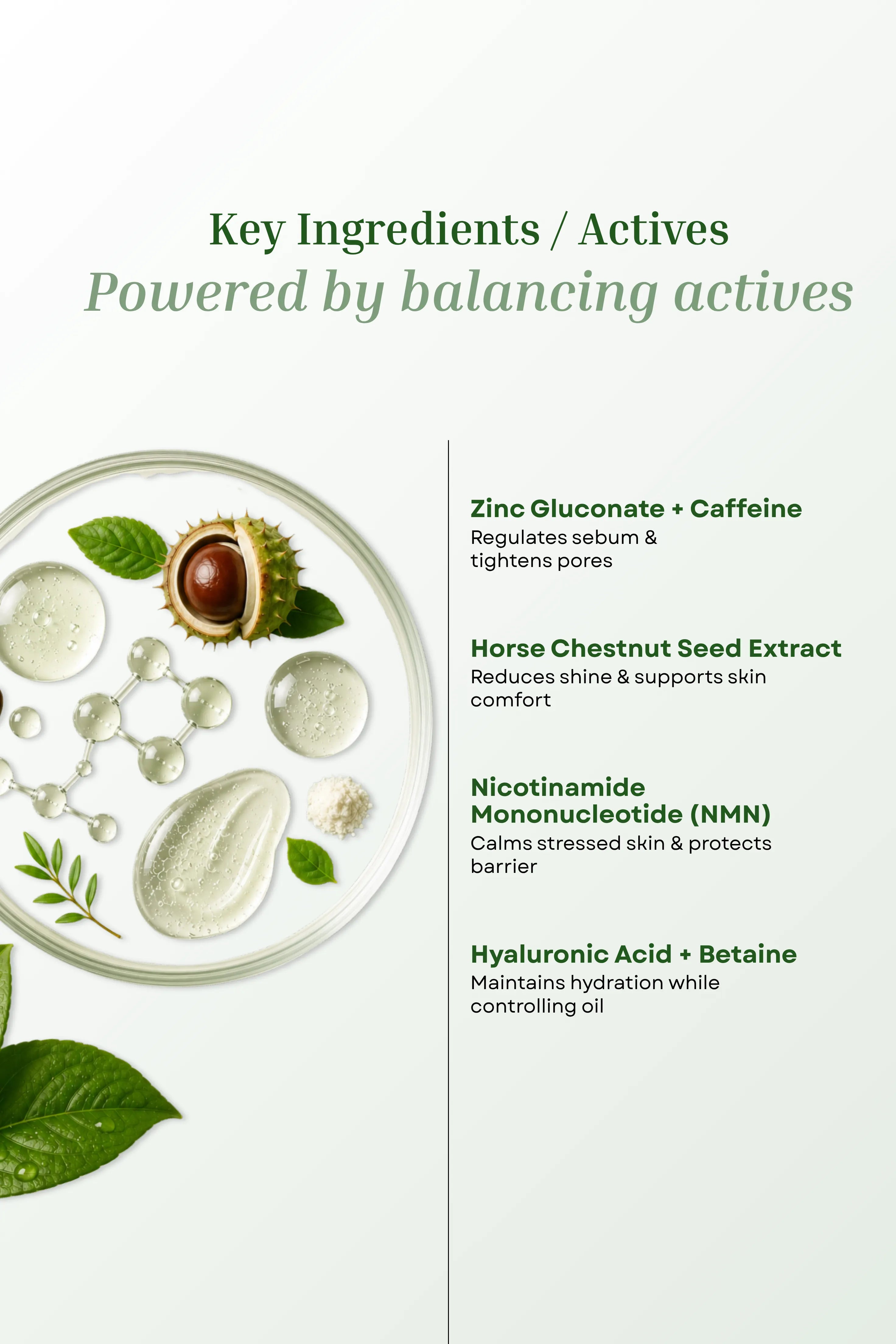 Clear Balance Face Serum <br><br>Balances Oil, Refines Pores & Reduces Breakouts | For Oily, Combination and Acne-Prone Skin | Sebum Control, reduces Acne - 20g
