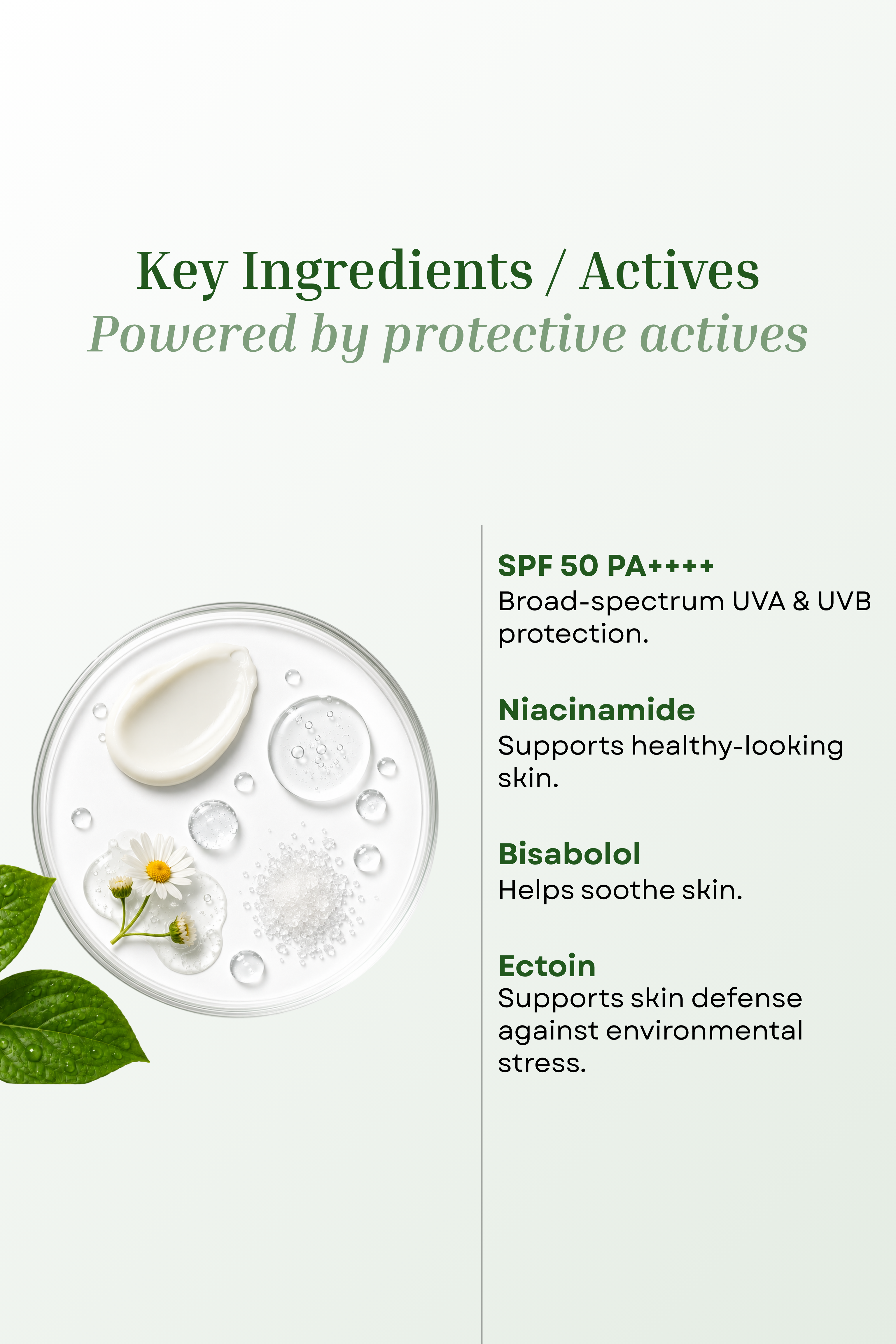 SunShield 50+ Sunscreen