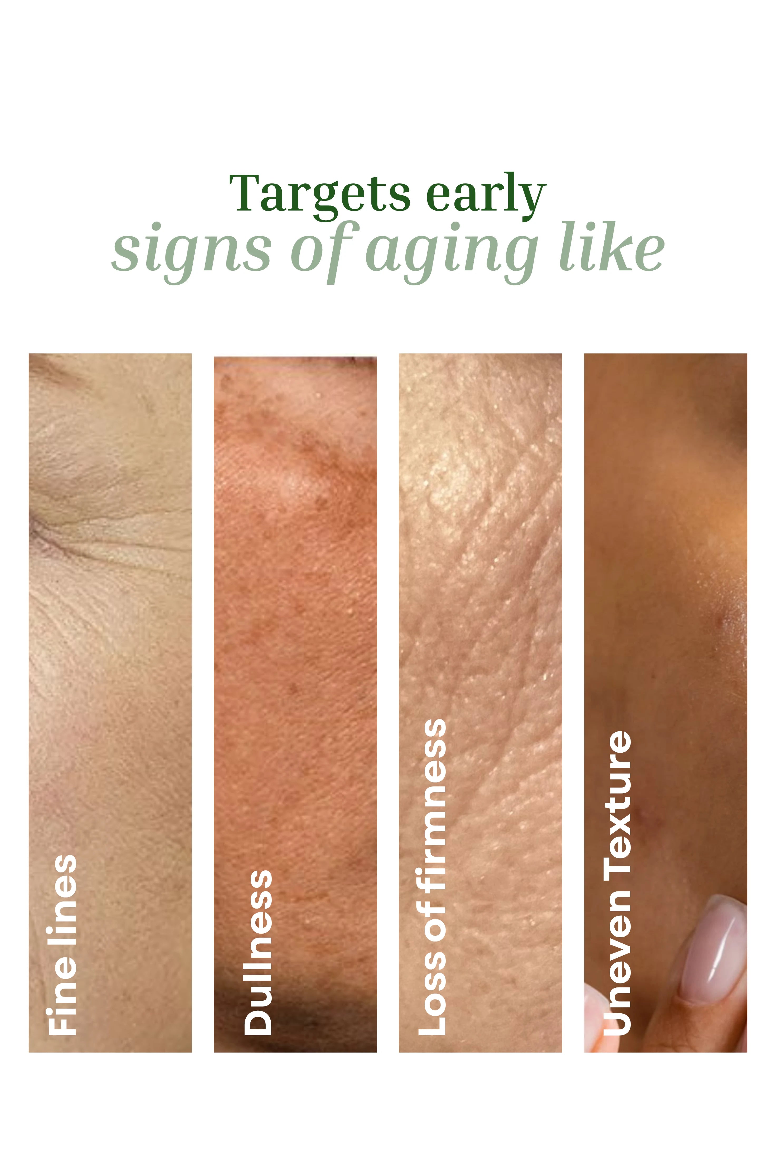Phyto Face B'tox Serum <br><br>With Peptides, Niacinamide, Hyaluronic Acid | Youth restore complex | Anti-Aging, Wrinkle-Reducing | Tightens, Smooths & Restores Bounce | For All Skin Types - 20g