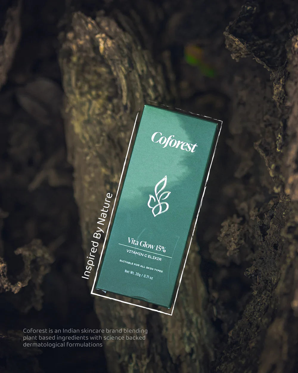 Vitamin C Elixir: A Simple Step Towards Brighter, Healthier Skin