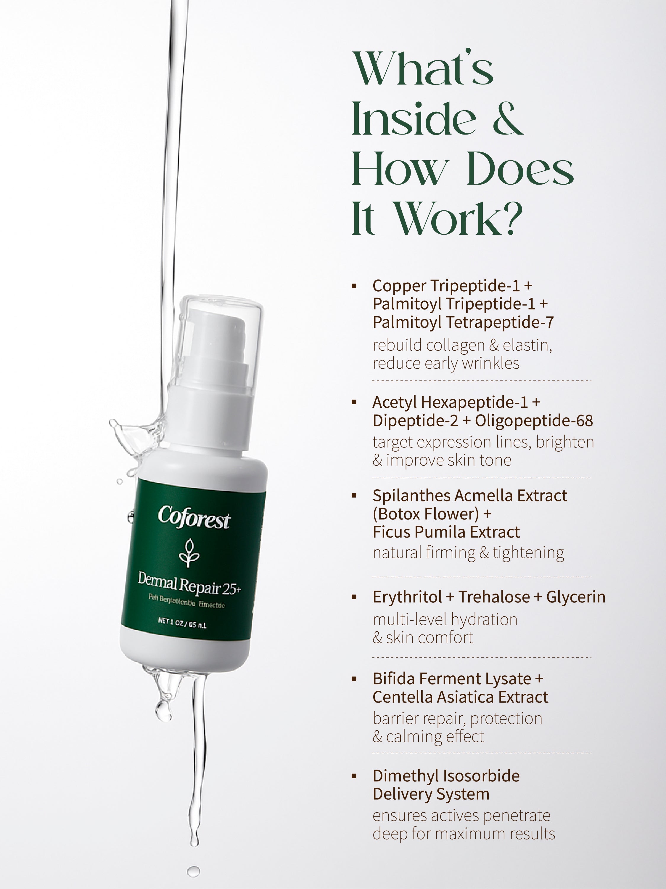 Dermal Repair 25+ Face Serum