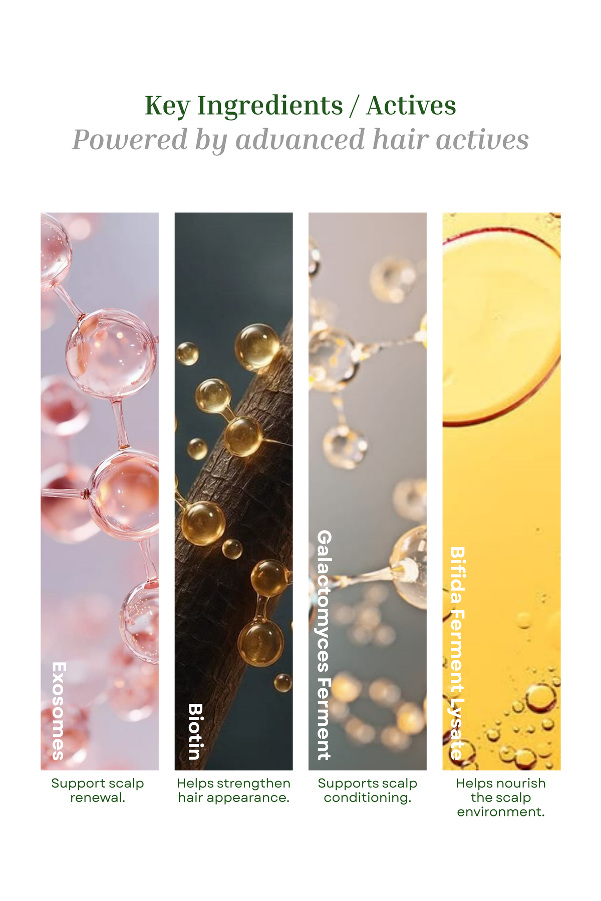 Advanced Hair Revival Hair Serum