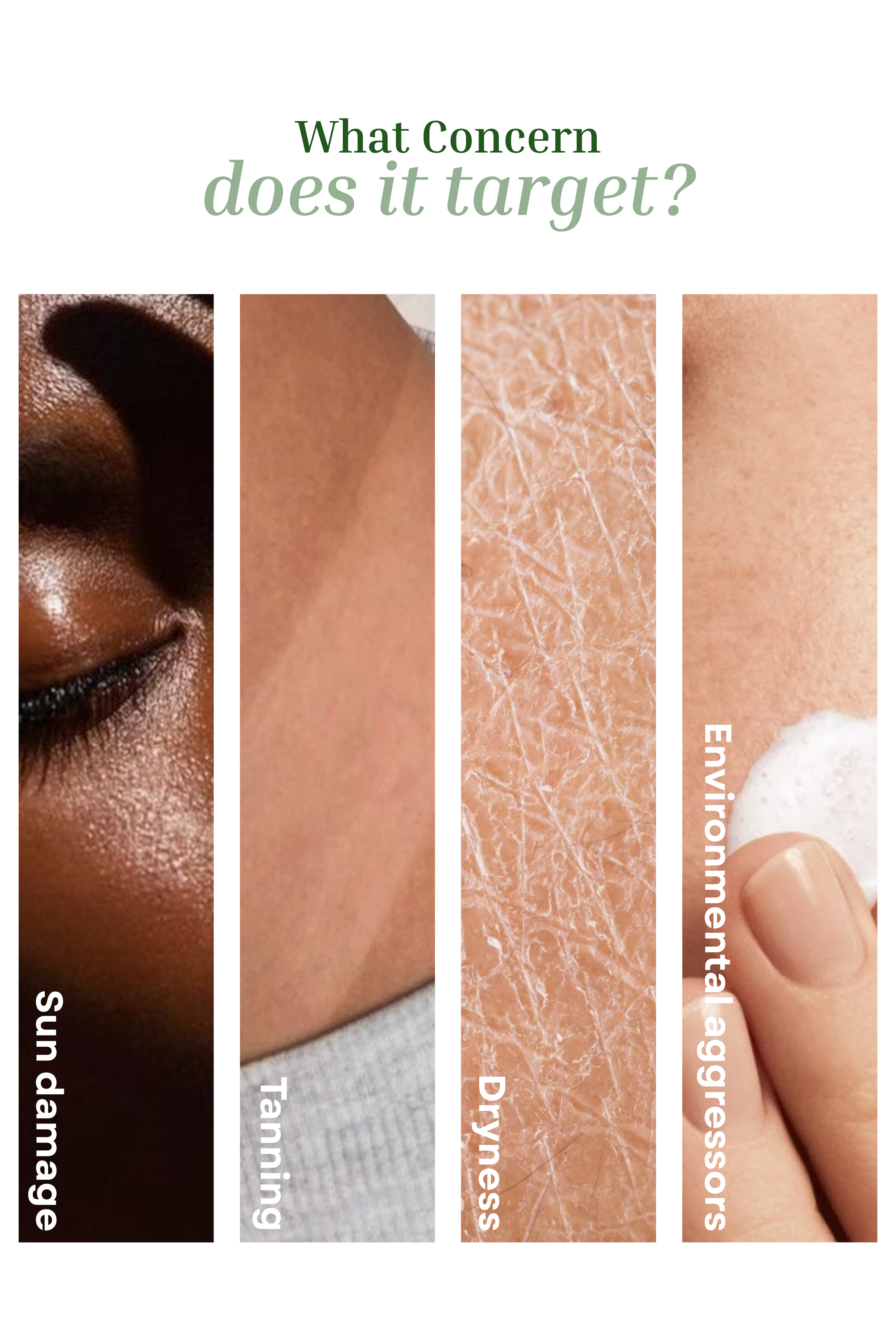 SunShield 50+ Sunscreen