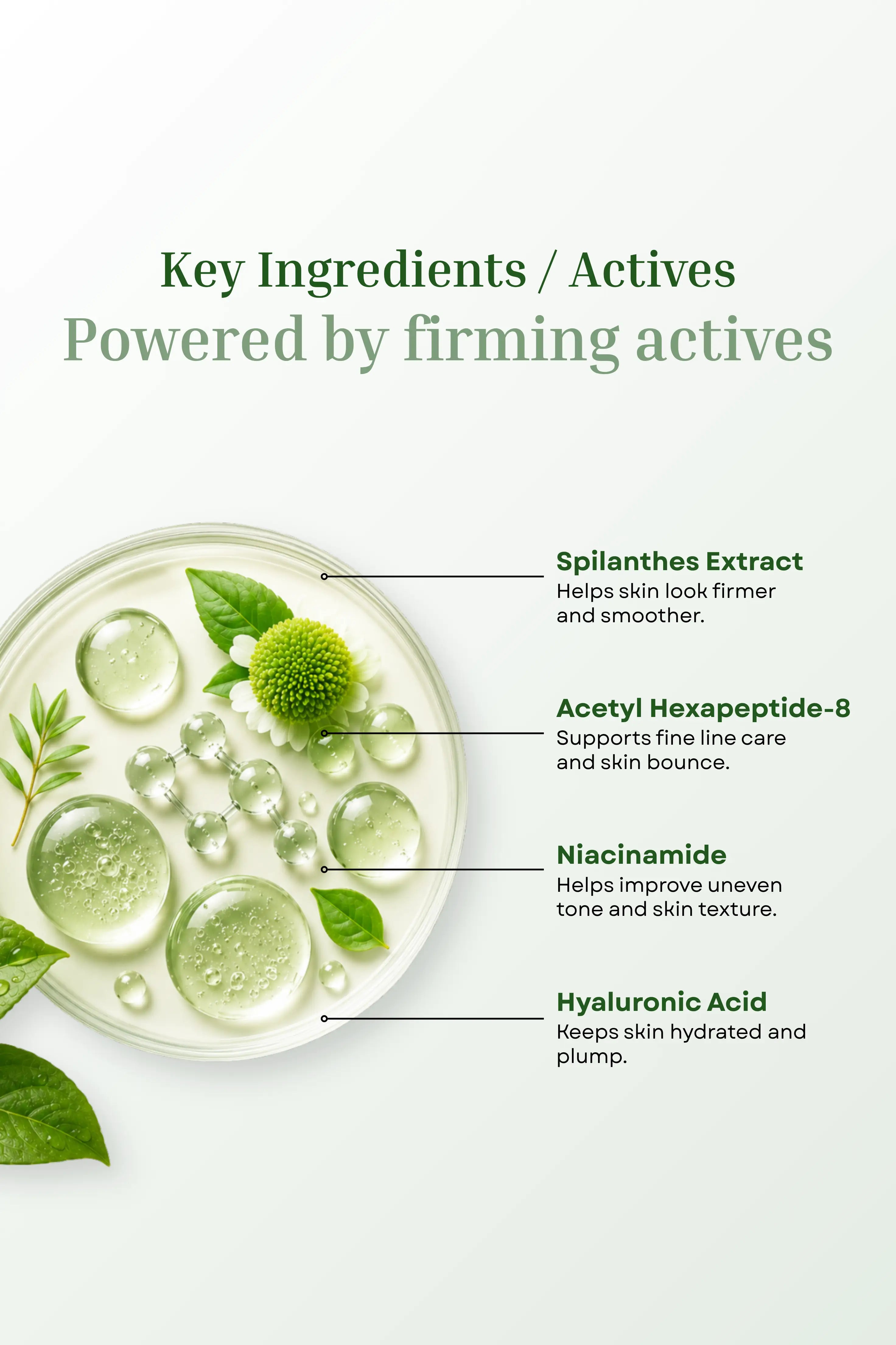 Phyto Face B'tox Serum <br><br>With Peptides, Niacinamide, Hyaluronic Acid | Youth restore complex | Anti-Aging, Wrinkle-Reducing | Tightens, Smooths & Restores Bounce | For All Skin Types - 20g